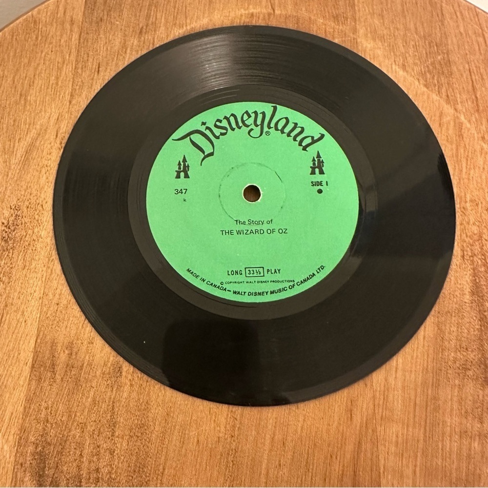 Vintage 1978 The Story Of The Wizard Of Oz 24 Page Book Record 33 1/3 RPM #347 - Picture 10 of 16